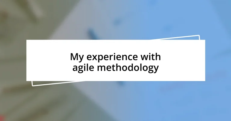 My experience with agile methodology