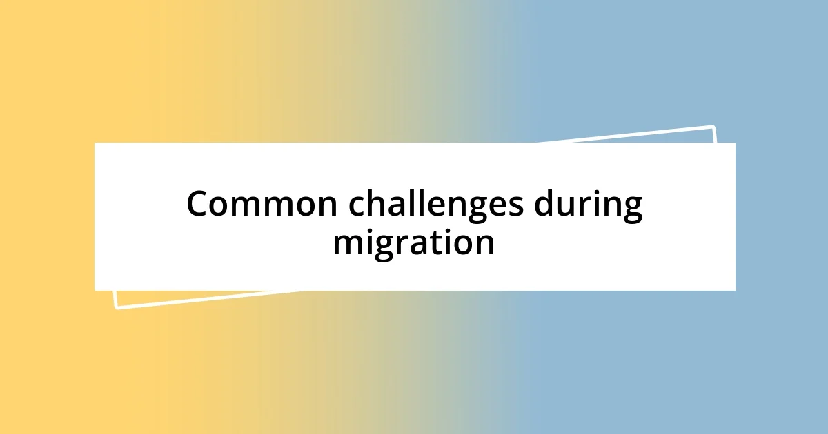 Common challenges during migration