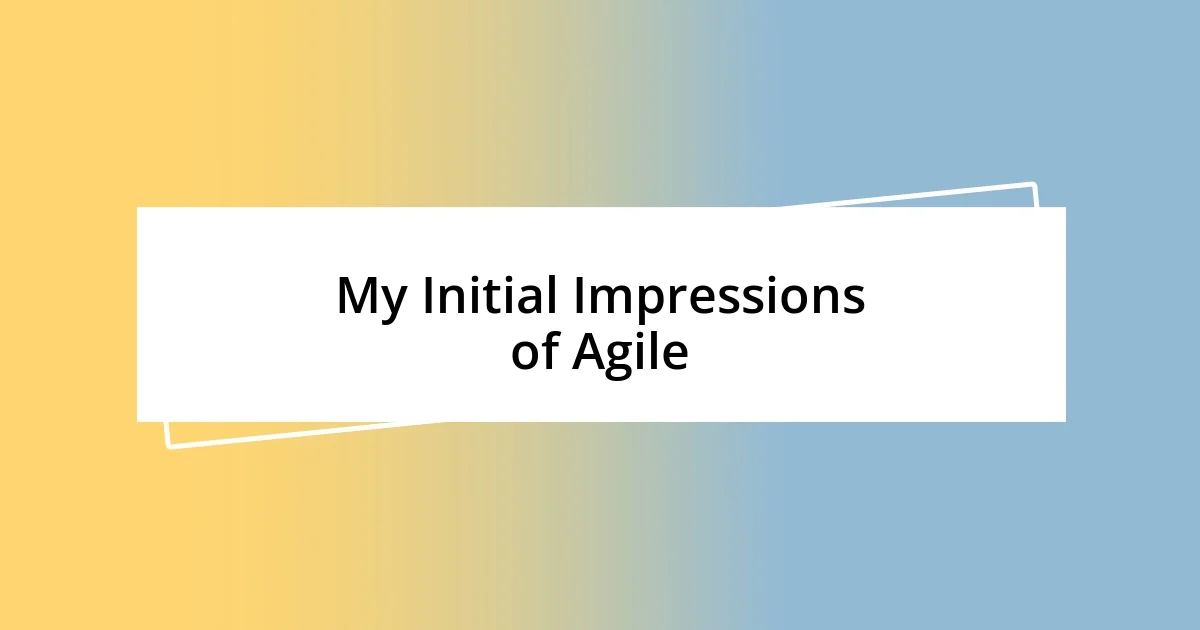 My Initial Impressions of Agile