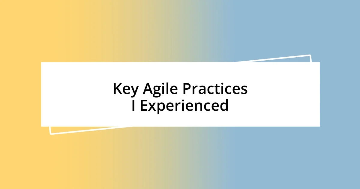 Key Agile Practices I Experienced