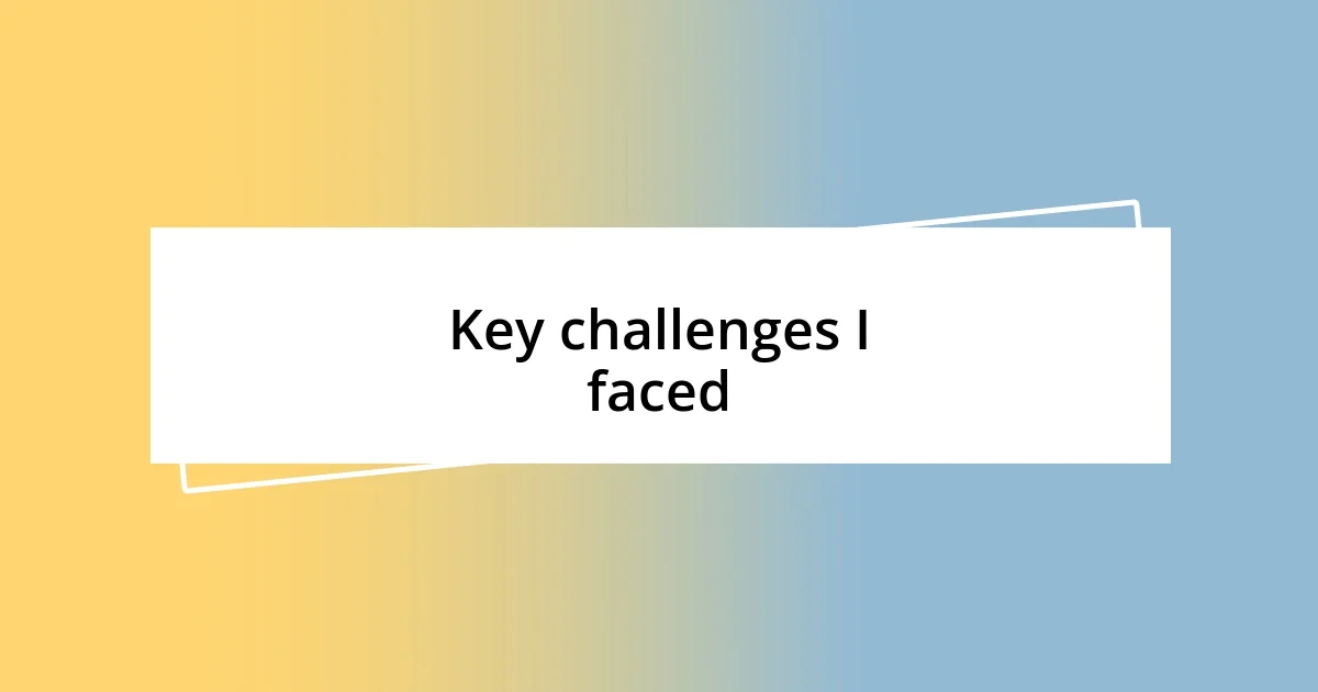 Key challenges I faced