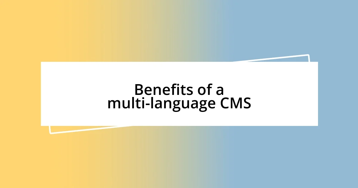 Benefits of a multi-language CMS