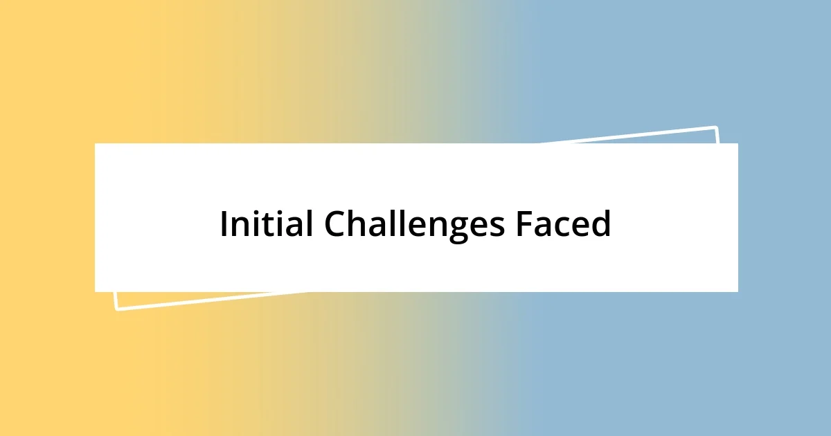 Initial Challenges Faced