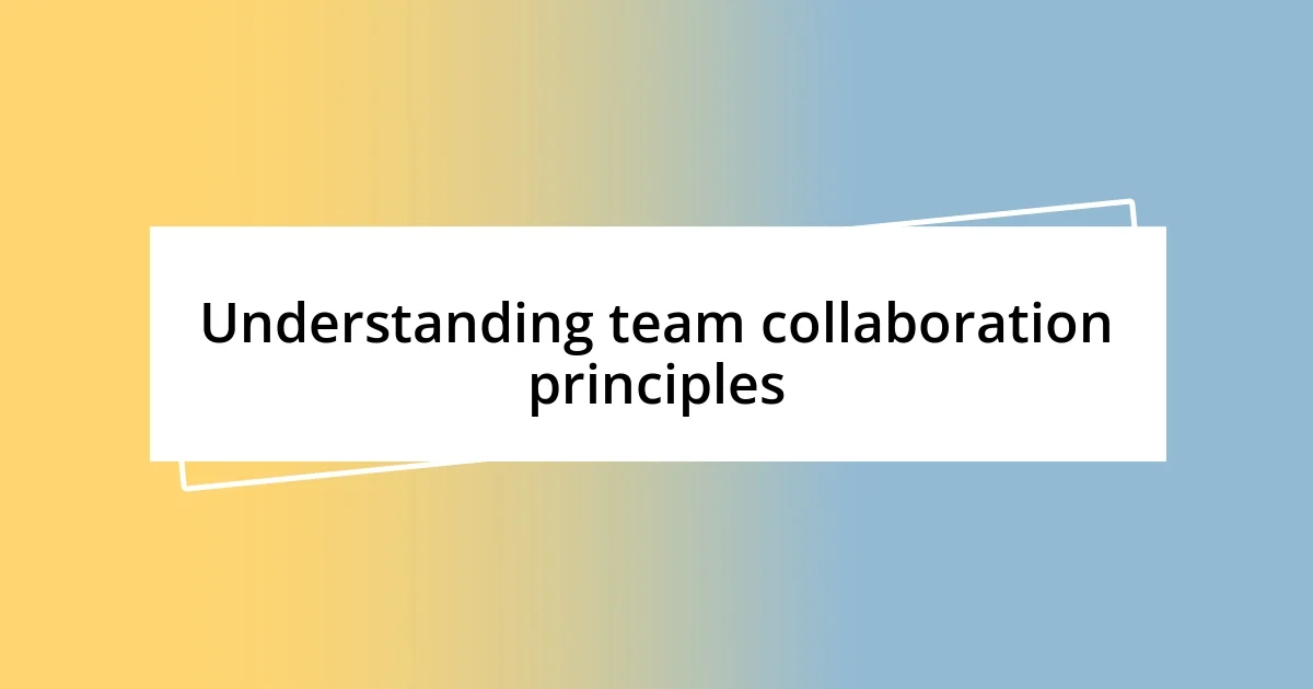 Understanding team collaboration principles