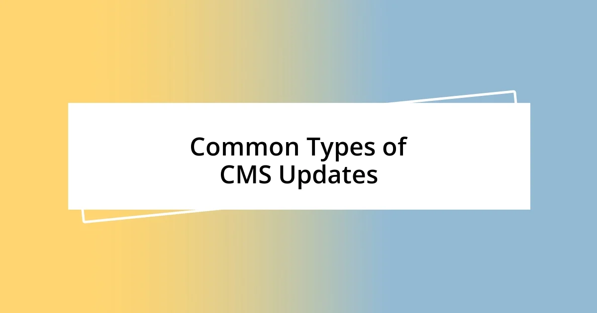 Common Types of CMS Updates