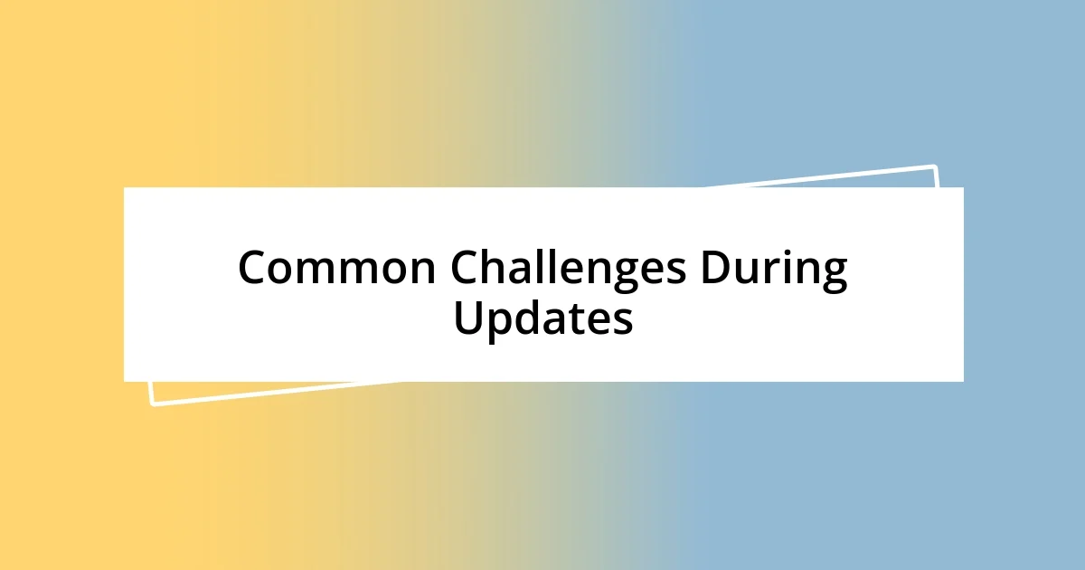 Common Challenges During Updates